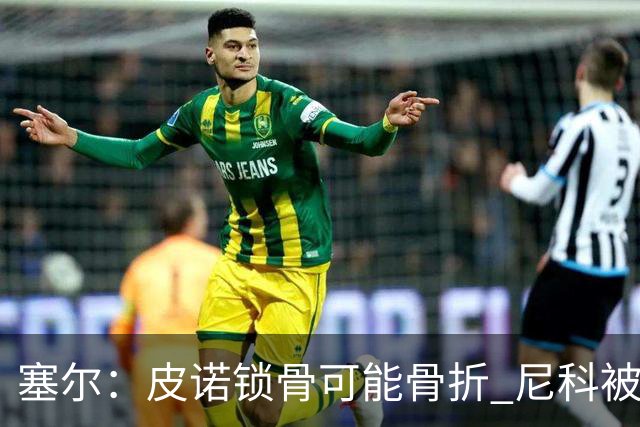 塞尔：皮诺锁骨可能骨折 尼科被铲伤可能提前结束世界杯之旅