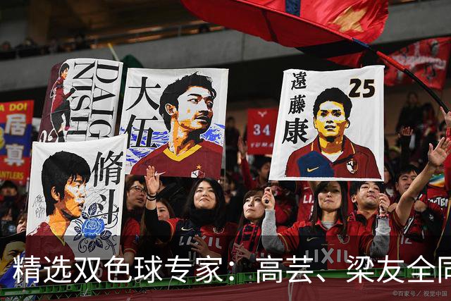 精选双色球专家：高芸、梁友全同中二等279万！
