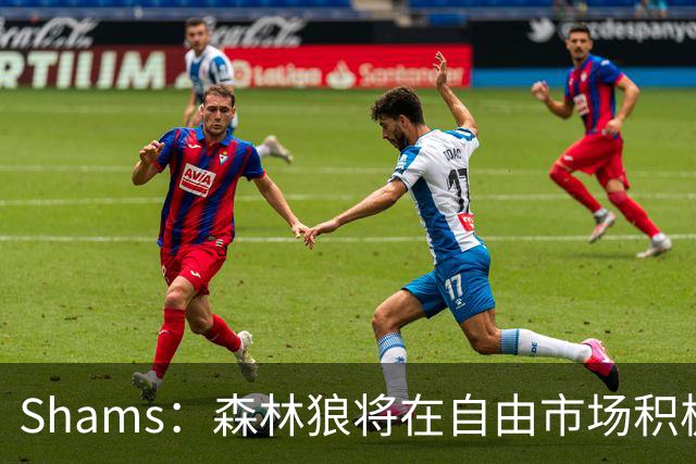 Shams：森林狼将在自由市场积极补强4号位 但他们只能提供底薪